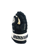 GANTS WARRIOR DX PRO JR